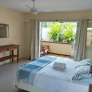 Andorinhas Búzios
